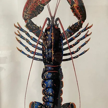 L'albatros 酒店 圣特罗让莱班
