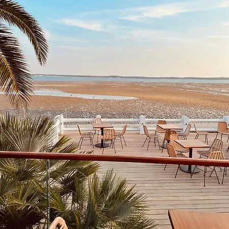 L'albatros 생-트로장-레-뱅