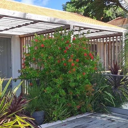 L'albatros 3* サン・トロジャン・レ・バン