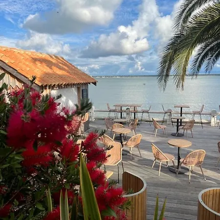 L'albatros ホテル