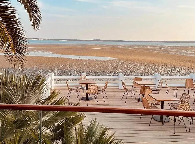 L'albatros Saint-Trojan-les-Bains