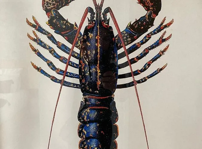 L'albatros Hotel Saint-Trojan-les-Bains