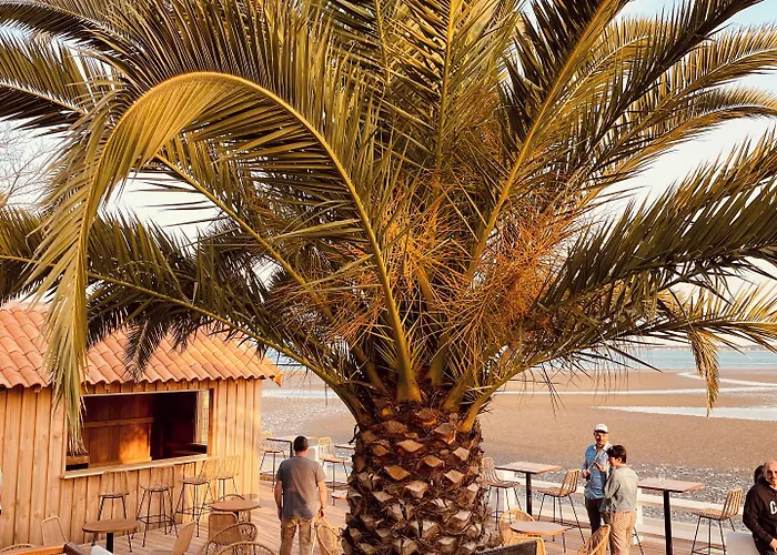 L'albatros 3* Saint-Trojan-les-Bains