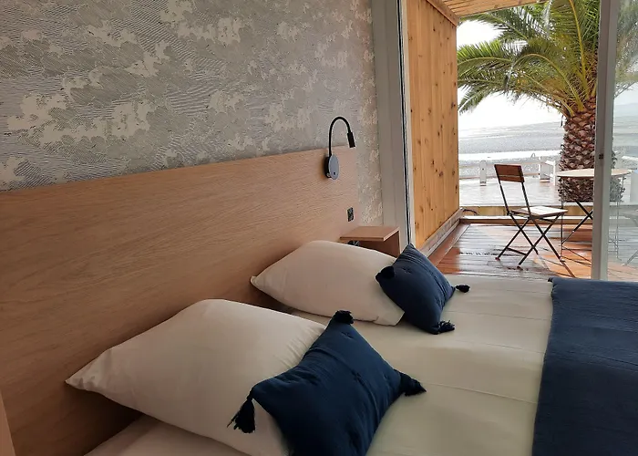 L'albatros Saint-Trojan-les-Bains